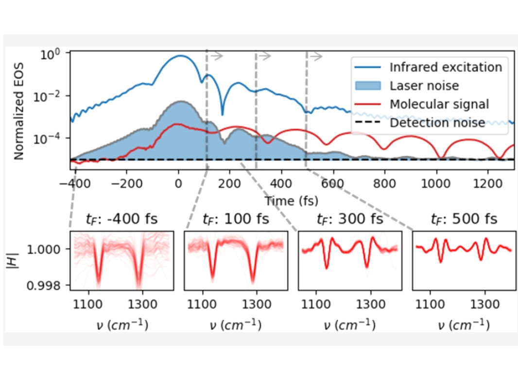 Standardized molecular fingerprinting with field-resolved spectroscopy